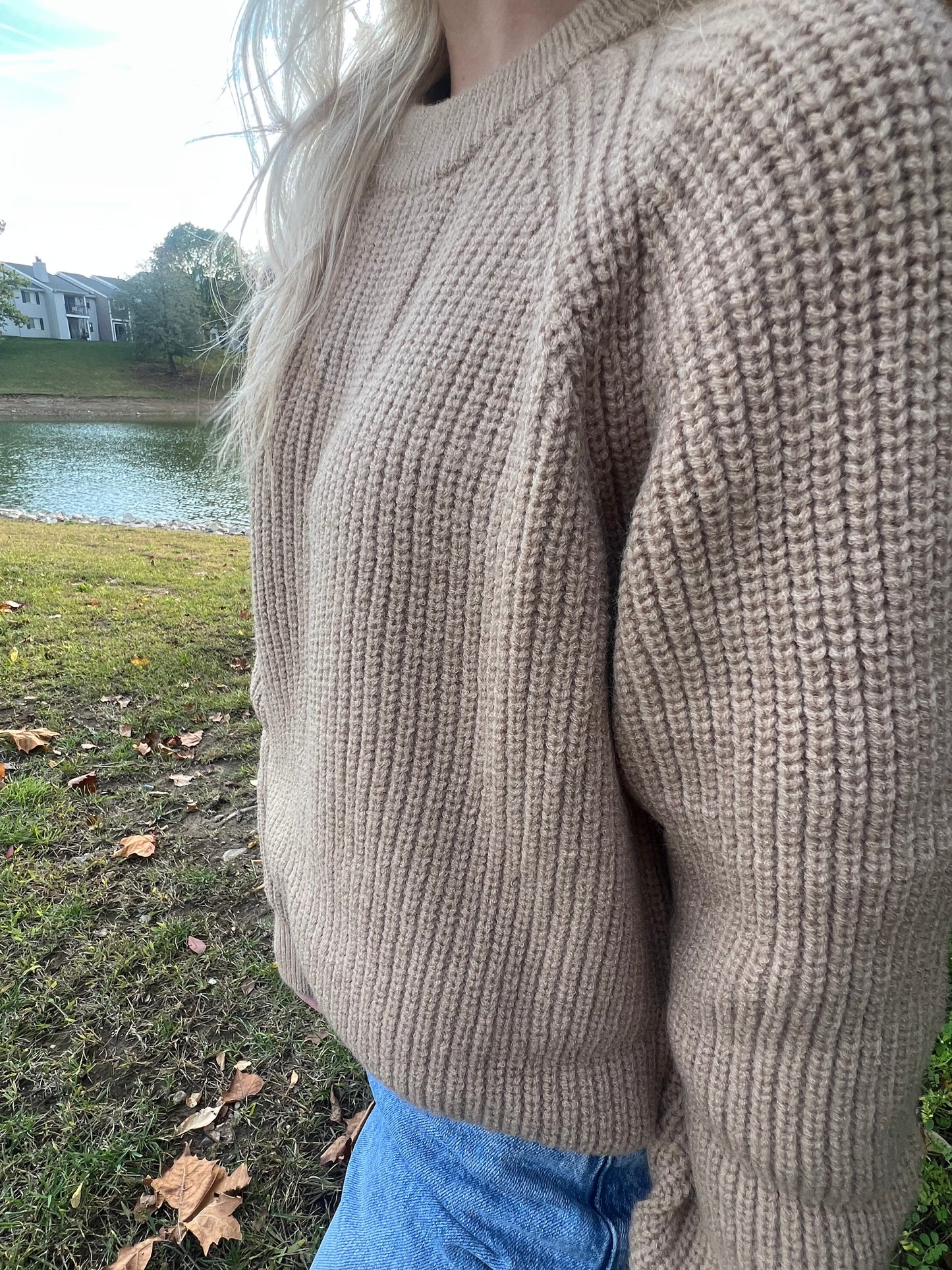 Taupe Crewneck Sweater