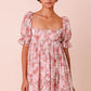 Blushing Petals Dress